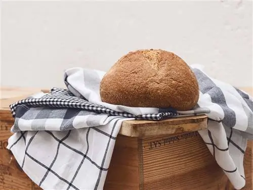 Еда, Хлеб, Мебель, Белье, Выпечка, Бежевый, Кухня, Башмак, Блюдо, Буханка,