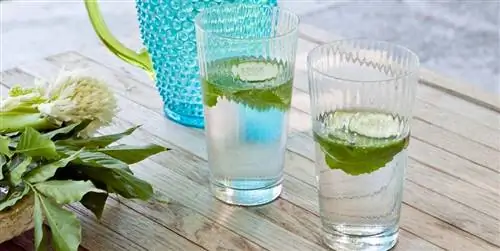 Как сделать фруктовую воду: рецепты и хитрости