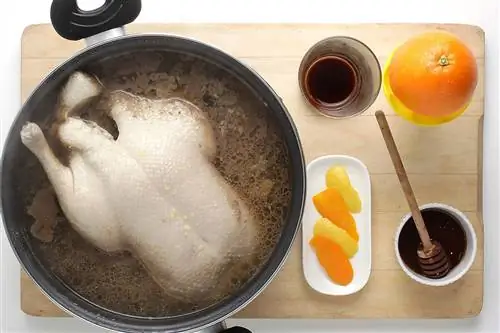 Лаковая оранжевая утка: Шаг 1