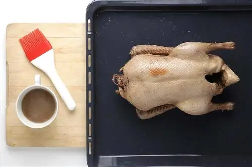 Лаковая оранжевая утка: шаг 3