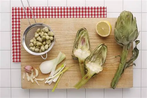 тушеная фасоль с артишоками и полосками ветчины 1 тушеная фасоль с артишоками и полосками ветчины 1