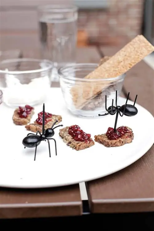 закуска закуска