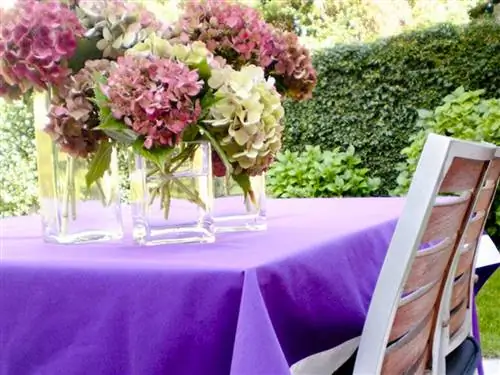 Скатерть, Лепесток, Текстиль, Фиолетовый, Цветок, Стол, Белье, Розовый, Букет, Срезанные цветы,