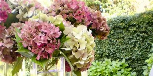 Текстиль и ткани, которые преображают дом