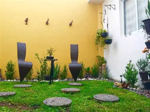 Растение, Цветочный горшок, Комнатное растение, Сад, Двор, Трава, Задний двор,