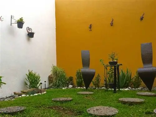 Растение, Вазон, Комнатное растение, Натюрморт, Трава, Подлокотник,