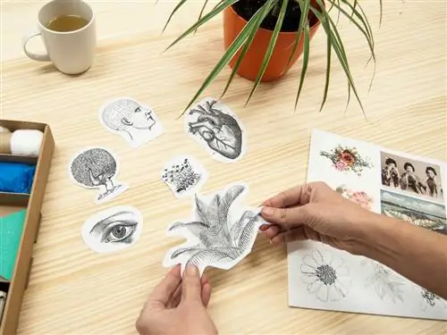 Палец, Serveware, Drinkware, Cup, Dishware, Paper product, Paper, Flowerpot, Nail, Tea,