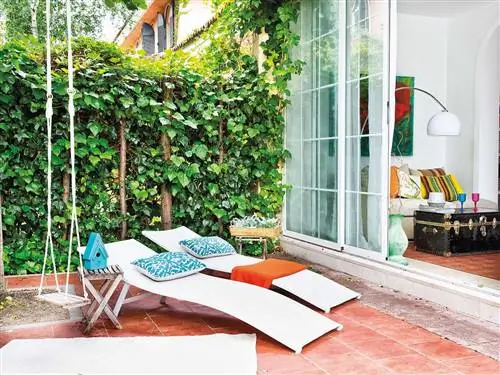 Дом, дверь, тень, уличная мебель, комнатное растение, двор, задний двор, двор,