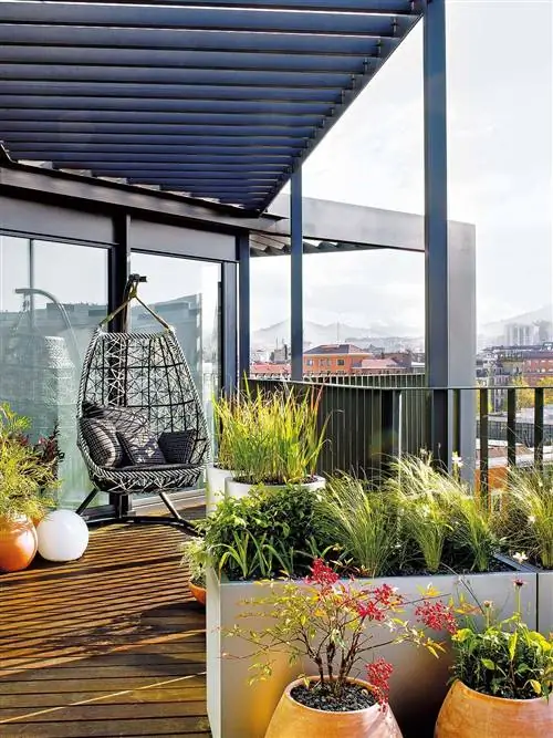 Цветочный горшок, Растение, Сад, Комнатное растение, Однолетнее растение, Тень, Ландшафтный дизайн, Трава,