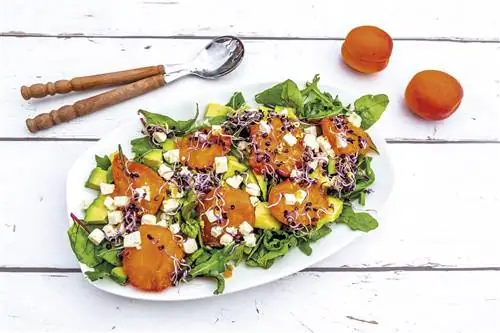 салат из нежных побегов с абрикосами