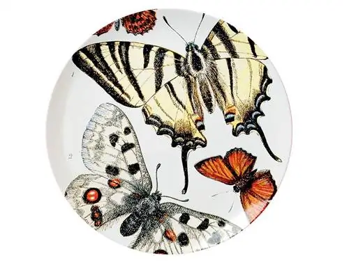 Бабочка, Cynthia (подрод), мотыльки и бабочки, насекомое, кистевидная бабочка, беспозвоночное животное, опылитель, американская нарисованная леди, бабочка-монарх, бабочка-парусник,