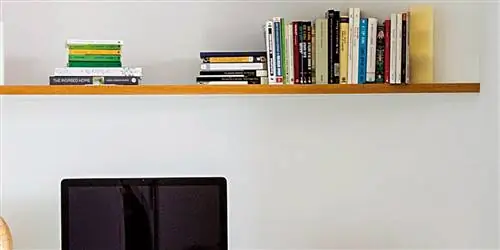 Насекомые в тренде