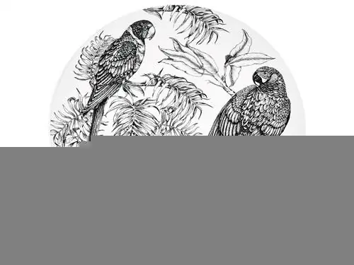 Птица, Штриховое искусство, Рисование, Сапсан, Попугай, Иллюстрация, Эскиз, Sharp shinned Hawk, Растение, Falconiformes,