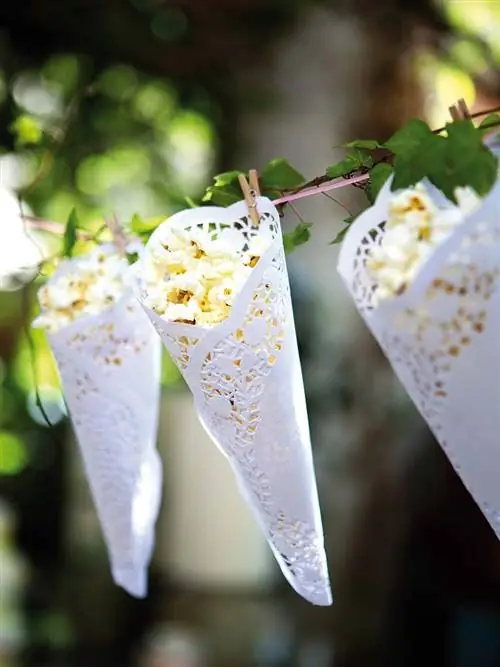 желтый, филиал, белый, ботаника, веточка, наземное растение, макросъемка, природный материал,