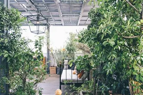 Отель Пулитцер в Барселоне