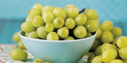 Вкусные (и полезные) сезонные продукты