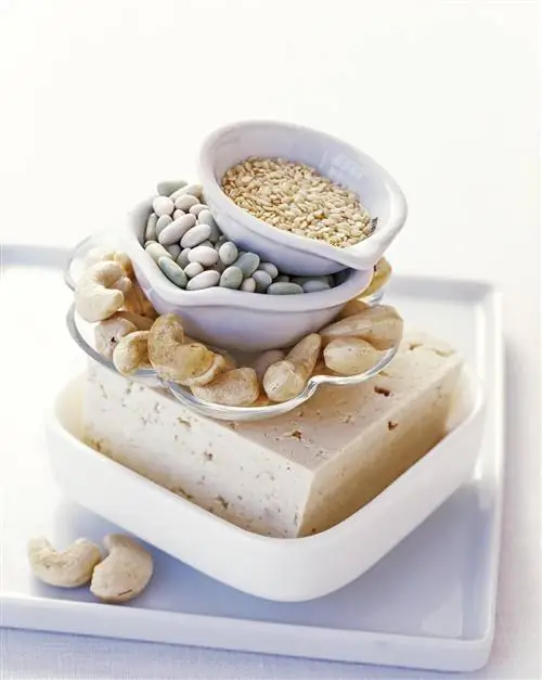 Богатые продукты для веганской диеты