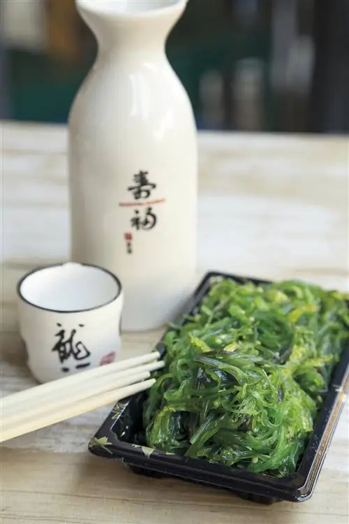 Еда: салат из водорослей вакамэ