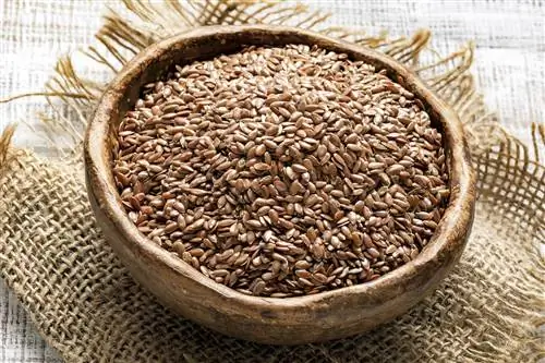 льняное семя