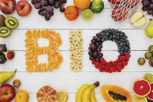 органическая еда