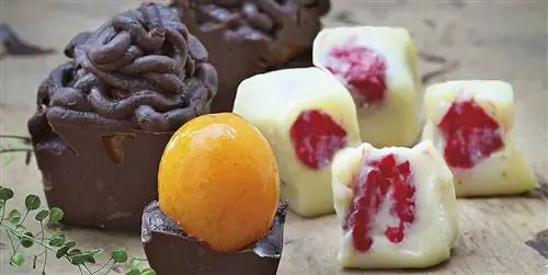 Конфеты с фруктами: легко и вкусно побаловать себя