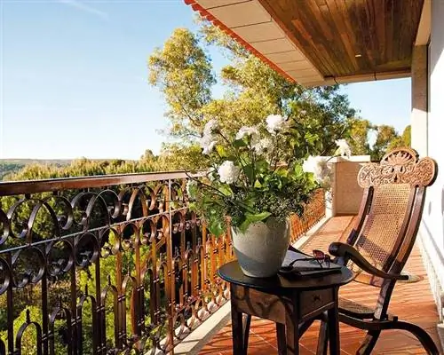 Цветочный горшок, Утюг, Садовая мебель, Абажур, Обод велосипедного колеса, Велосипедное колесо, Забор, Комнатное растение, Садовый стол, Балкон,