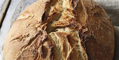 Блюдо дня: Хлеб с начинкой из сыра и шпината. Новое сильно захватывающее удовольствие