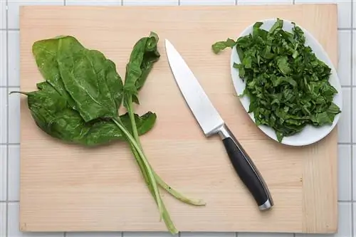 Салат из краснокочанной капусты: Шаг 3