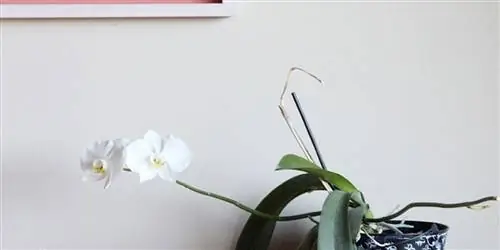 Новый взгляд на табурет с обивкой