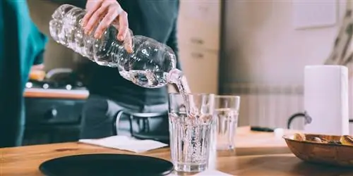 Я хочу перестать пить бутилированную воду: что я могу сделать? ?