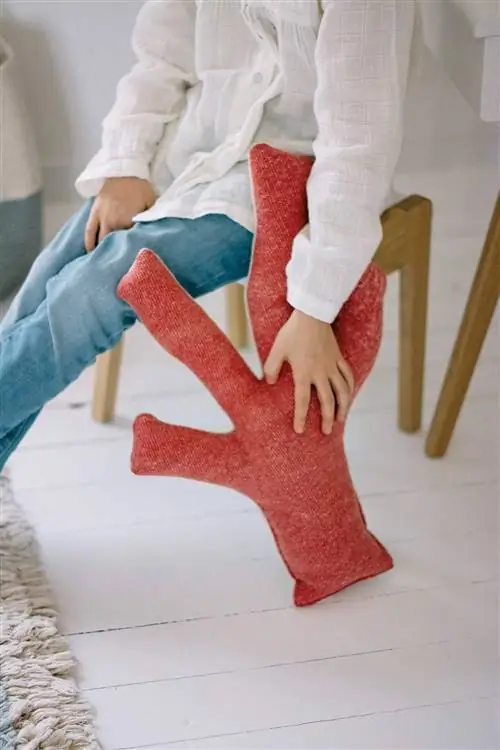 коралловый цвет