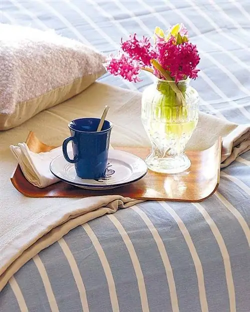 Serveware, Cup, Dishware, Coffee Cup, Petal, Drinkware, Textile, Flower, Furniture, Lines,