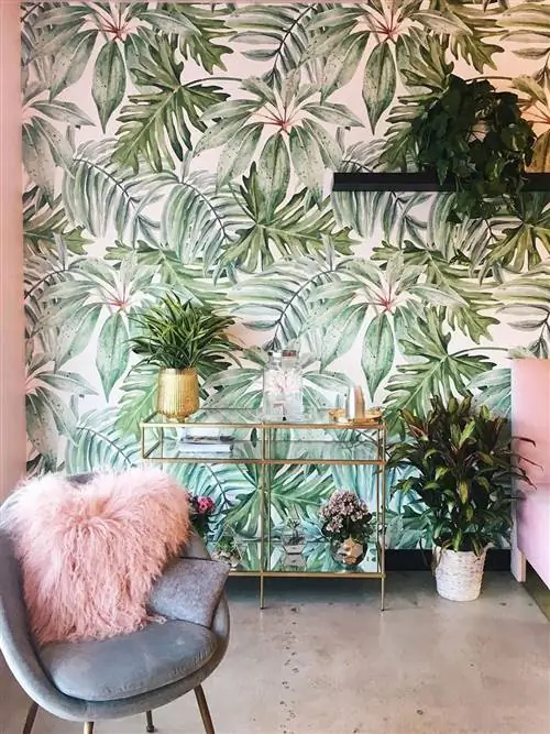 Комнатное растение, комната, растение, ботаника, мебель, обои, дизайн интерьера, гостиная, дерево, Arecales,