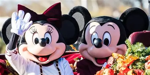 10 Запрещенные вещи в парках Диснея