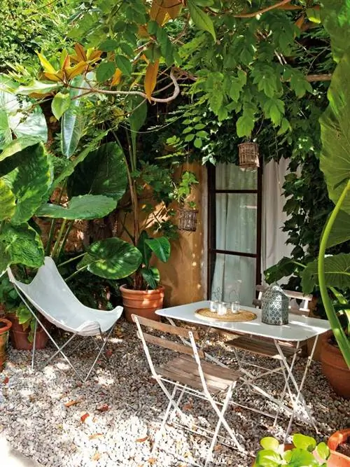 лист, цветочный горшок, приспособление, комнатное растение, задний двор, дверь, трава, двор, однолетнее растение, продукция,