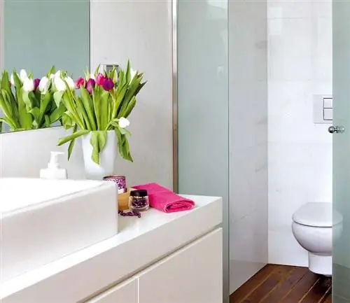 Комната, Лепесток, Стена, Цветок, Фиолетовый, Дизайн интерьера, Розовый, Сантехника, Туалет, Дизайн интерьера,