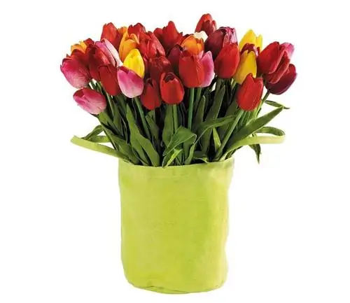 Желтый, Лепесток, Цветок, Срезанные цветы, Артефакт, Букет, Ваза, Аранжировка цветов, Дизайн интерьера, Цветущее растение,