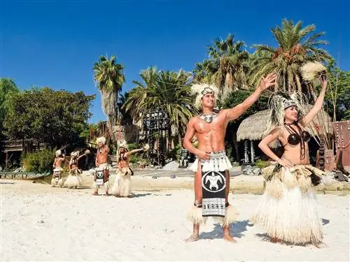 Люди, Отпуск, Дерево, Barechested, Лето, Пальма, Туризм, Веселье, Пляж, Песок,