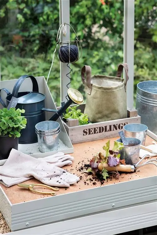 Вселенная растений