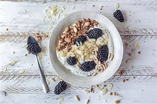 йогурт с гранолой