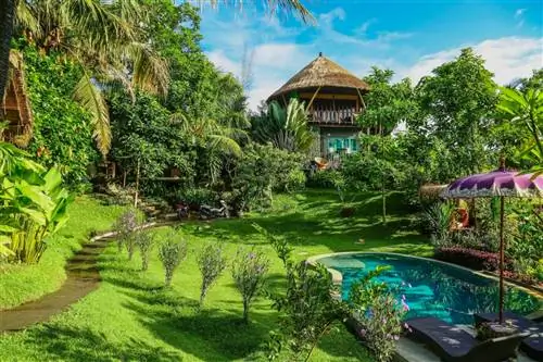 Дом на дереве на Бали выставлен на Airbnb