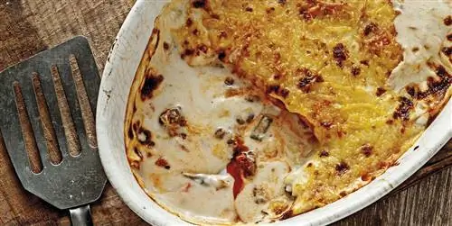 Блюдо дня: Мясные каннеллони
