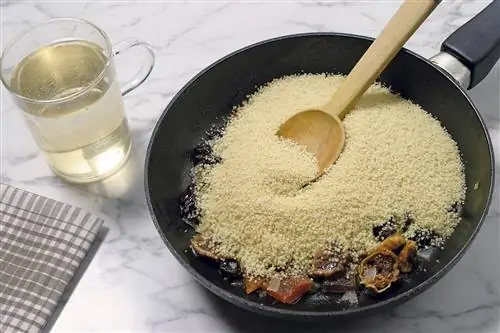Жареная индейка с кускусом 3