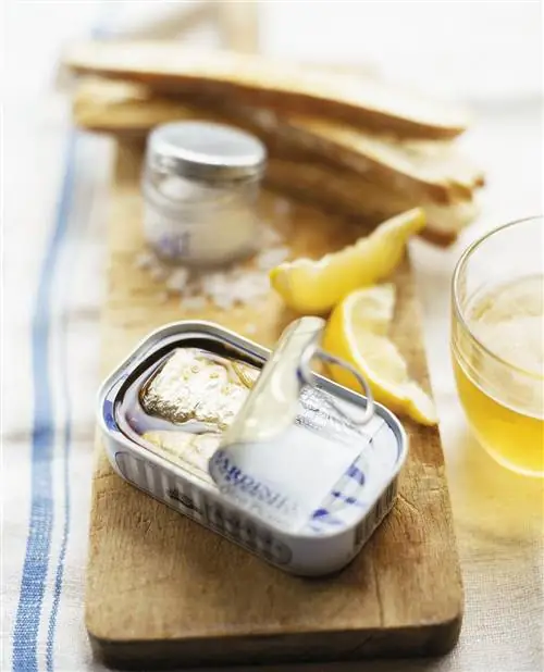 банки с сардинами