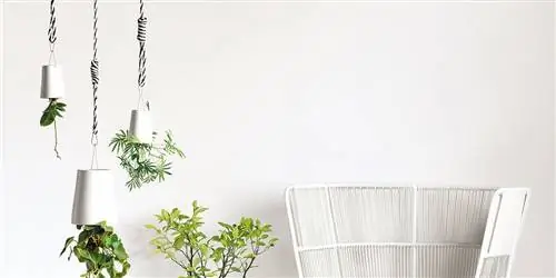 Визуальное воздействие в черно-белом цвете