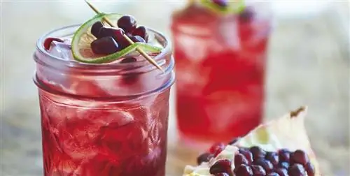 Гранатовый джин Потому что сегодня пятница