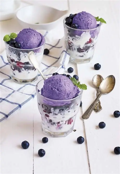 Мороженое из черники и ежевики