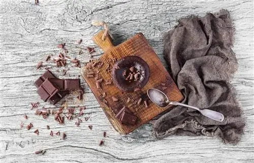 темный шоколад и шоколадный маффин