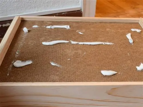 Дерево, морилка, пол, твердая древесина, дизайн, стол, фанера, напольное покрытие,