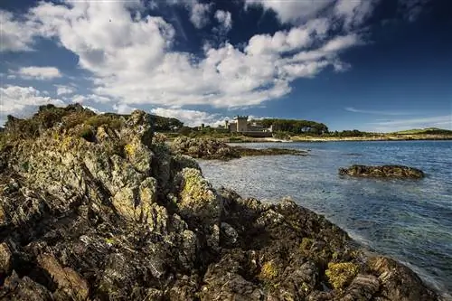 игра престолов, игра престолов